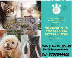 Clínica veterinaria Barbas y Bigotes