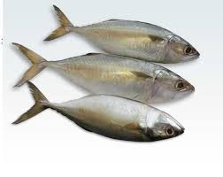 Ikan laut yang aman buat penderita kolesterol. Jenis Ikan Yang Mengandung Kolesterol Tinggi