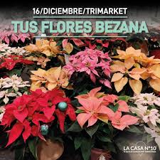 Floristería Tus Flores