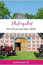 Ehrlingshof Natur Pur Viele Tiere Und Eine Entspannte Atmosphare Camping In Seiner Schonsten Form Camping Mit Kindern Camping Campingurlaub