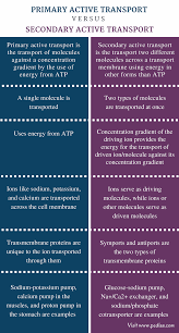 Difference Between Primary And Secondary Active Transport Definition Types Characterist Basic Anatomy And Physiology Active Transport Biology Biology Facts