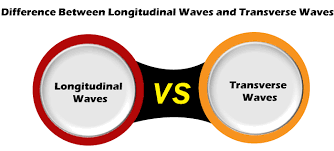 Characteristics of longitudinal and transverse waves class 11 / the transverse and longitudinal waves are progressive waves if the energy associated travels from one point to another. Difference Between Longitudinal And Transverse Waves Javatpoint