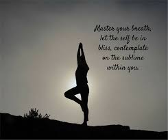 Yoga Quotes To Inspire Your Practice And Life Yoga Quotes Yoga Journey Yoga Inspiration Quotes Yoga Poses Inspirational Yoga Quotes Meditation Meditatio