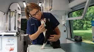 We did not find results for: Emergency Care Richmond Va Capital Home Veterinary Care