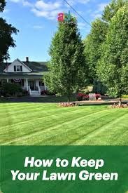 Check spelling or type a new query. 5 Tips For Gorgeous Green Lawns Landscaping Tips Easy Garden Gardening For Beginners