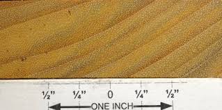 Image result for Centrolobium robustum