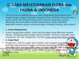 Fadillah no.4 no.11, rt.11/rw.4, cijantung, ps. Flora Dan Fauna Persebaran Flora Dan Fauna Di Indonesia Kelas Iv Oleh Siti Halimatus Sakdiyah Ppt Download