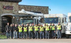Alpine Tree Service