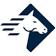 Paladin Security logo