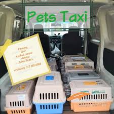 Ets train penang to kuala lumpur schedule (jadual) ktm butterworth to kl sentral. Sky Pets Texi Service Kids Sky Pets Texi Service å® ç‰©æŽ¥é€é—¨åˆ°é—¨æœåŠ¡new Schedule 20 Oct Kl Penang 21 Oct Penang Kl 22 Oct Kl Jb 23 Oct Jb Kl Http Wapp My 60132836888 Pettexi Facebook