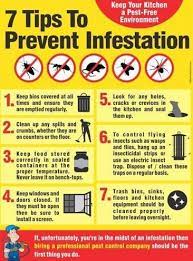 As weather conditions across the country finally begin to resemble clean out leaves and other debris from the gutters to prevent standing water, which can provide the perfect if an infestation is found, homeowners should consult with a licensed professional pest. 7 Tips For A Pest Free Home Topsdecor Com