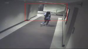 What was the cause of death for kenneka jenkins? Kenneka Jenkins Case New Details Emerge From Police Reports