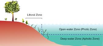 Studies under the sustainable lake management action plan ii. Apakah Ekosistem Air Tawar 2021 Berita