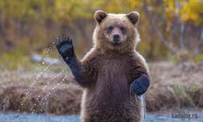 Чайная беседка