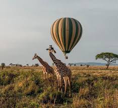 Guide To Tanzania S Serengeti National Park Serengeti National Park National Parks Tanzania