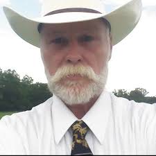 Warning signs of cat adoption scams