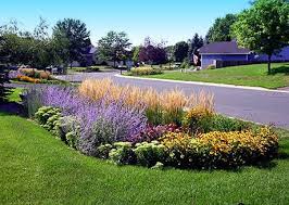 Rain Garden Landscape Ideas Madison Wi Rain Garden Design Rain Garden Landscape Rain Garden