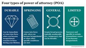 Image result for Poa