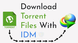 Internet download manager is a very useful tool with which you will be able to duplicate the download speed, the remaining times will be reduced. How To Download Torrent Files With Idm Internet Download Manager Youtube