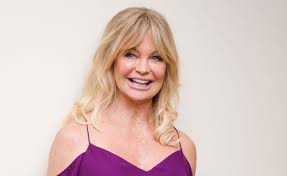 He has earned huge fortunes from his tv shows and movie appearances. Goldie Hawn Net Worth 2021 Age Height Weight Husband Kids Bio Wiki Wealthy Persons
