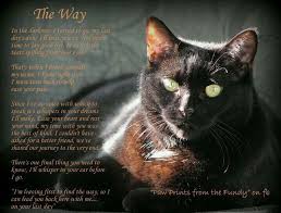 In this article i share a variety of ways to cope with the grief of a cat's death. This Was Sent To Me Anonymously 2 Days After My Beloved Baxter Madman Cat Went To Rainbow Bridge It Was Sent To Me But Only One Requ Cat Loss Cats Black Cat