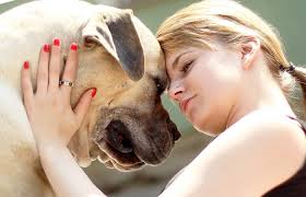 rvota u sobak chto delat pochemu sobaku rvet beloj penoj zhelchyu krovyu edoj