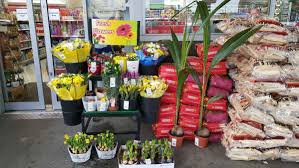 Where can i buy fresh flowers wholesale. Wholesale Cut Flower Fresh Flower Supplier Sheya Flowers