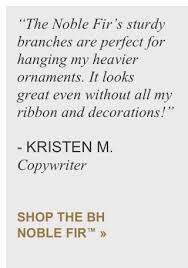 The tree i purchased for $719.74 was the balsam hill bh fraser fir. Balsam Hill Our Staff S Favorite Trees Milled