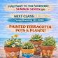 Painted Terracotta Pots and Plants
