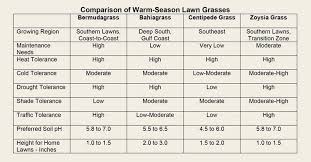 What Is The Best Warm Season Grass For Your Lawn