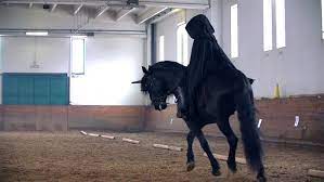 Get it as soon as thu, nov 5. Shutterstock