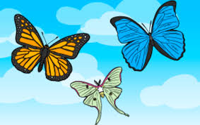 6 thoughts on 50 fascinantes fotografias de borboletas coloridas. Borboletas E Mariposas Trabalhos Escolares Smartkids
