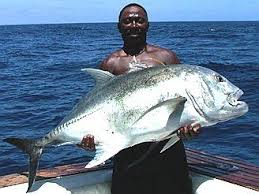 Kenya Is Famous For Big Game Fishing A Giant Gt Big Game Fishing Fish Salt Water Fishing