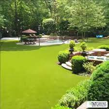 Auszeichnungen und preise für backyard oasis (texas). Backyard Oasis In Memphis Tn Is Magazine Worthy Synthetic Turf International