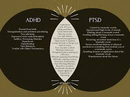 Adhd Answers As It Was Requested By Quite A Few People I Made