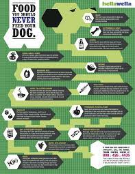 Foods You Should Never Feed Your Dog Dog Infographic Pet Hacks Pet Care