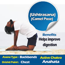 Ustrasana (camel pose) is one such kind of yoga posture that reduces major adversary of the learn the correct steps of performing the camel pose in order to reap the ustrasana yoga benefits to the maximum. Feel Yoga Nature Posts Facebook