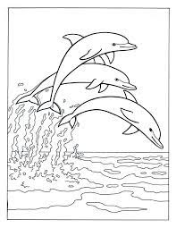Sep 12, 2016 · free printable color by number coloring pages. Coloring Pages For Adults Dolphins Coloring Home