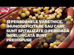 De cele mai multe ori, stafilococul auriu se vindeca in urma tratamentului cu antibiotice. Simptome Ale InfecÅ£iei Cu Stafilococ Auriu Video By Csid Youtube