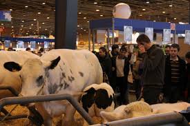 Désigner le salon de l'agriculture comme la plus grande ferme de france est bien réducteur. Le Cout Des Stands Devient Prohibitif Au Salon De L Agriculture