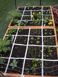 Pin On Garden
