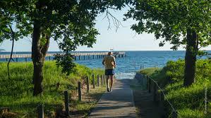 Die urlaubsgestaltungsmöglichekeiten und sehenswürdigkeiten in binz und auf rügen sind sehr vielvältig. Ostseebad Binz Grosstes Schonstes Seebad Der Insel Rugen