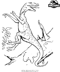12 interessant coloriage jurassic park pics world de dinde en ligne gratuit