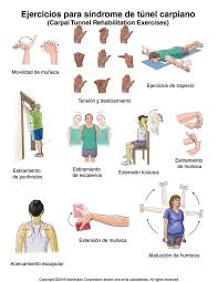 Carpal Tunnel Exercises Illustration Carpal Tunnel Carpal Tunnel Exercises Carpal Tunnel Syndrome