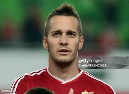 Hungary's Daniel Bode celebrates scoring with his team-mates during... News  Photo