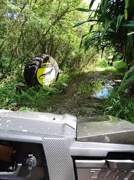 Michelle Armenta for Guam...