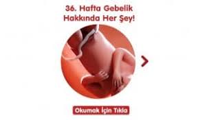 35 haftalık gebelik ile ilgili merak edilenler haberimizde. 35 Hafta Gebelikte Neler Oluyor Bebek Com