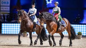 At the finals held in lyon's expo center she finished seventh. Munich Indoors Reitsport In Munchen Sport In Der Region Sz De