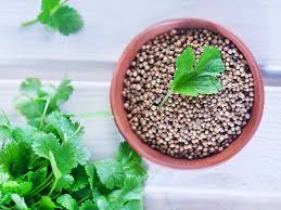 You may still purchase now though and we'll ship as soon as more become available. Cilantro Vs Coriander What S The Difference