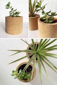 We did not find results for: Modern Cork Planters Are Great For Showing Off Succulents And Cacti
